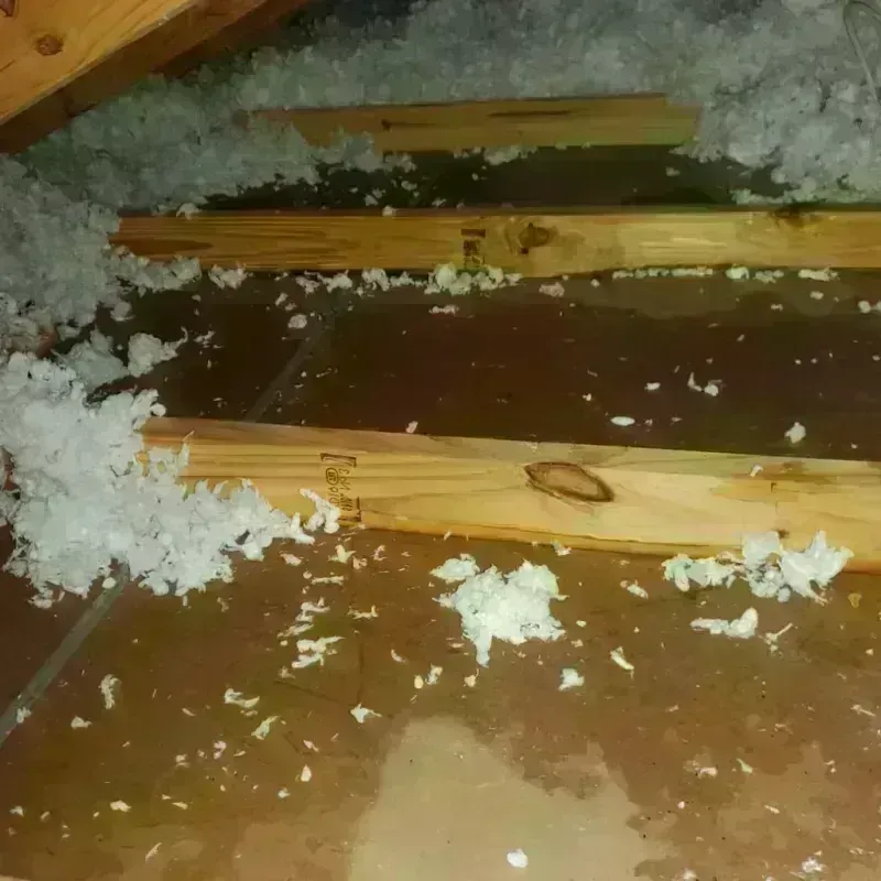 Attic Water Damage in Morgan Hill, CA