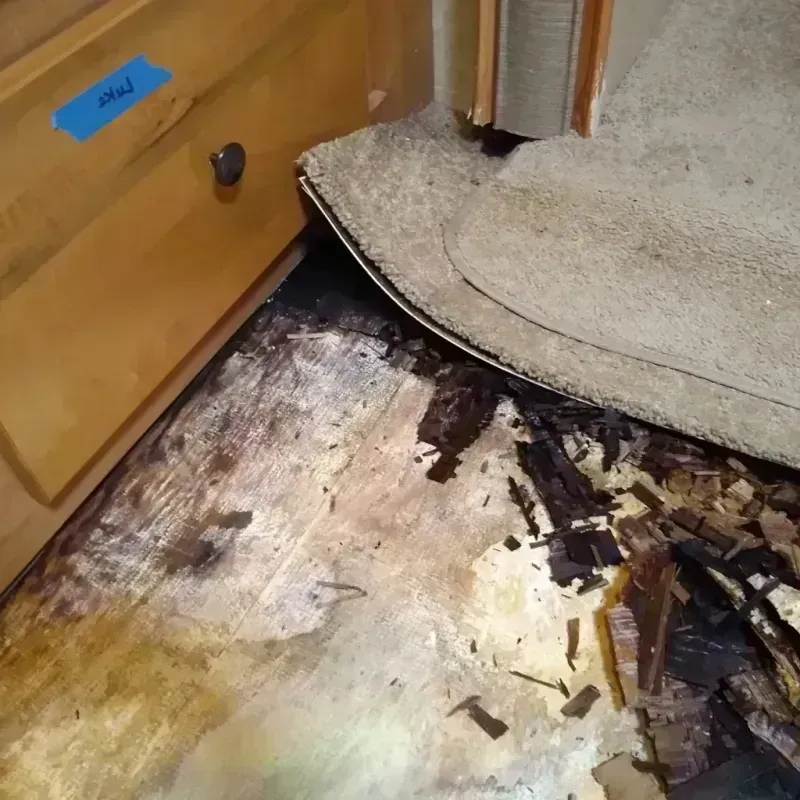 Wood Floor Water Damage in Morgan Hill, CA